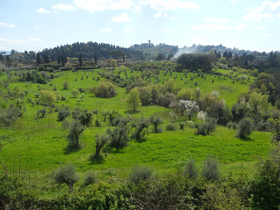 Tuscan countryside — real photograph